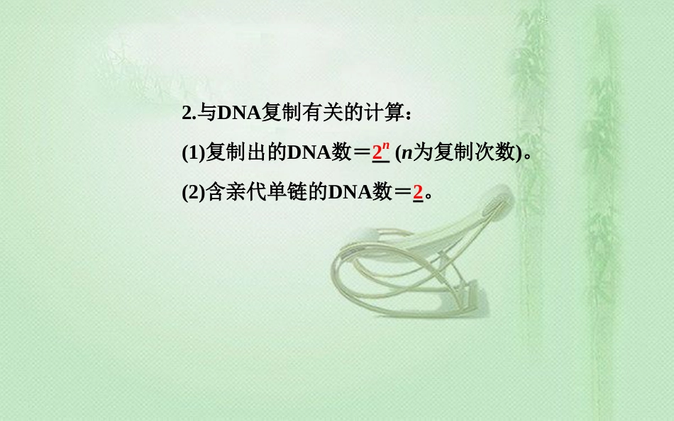 高中生物学业水平复习 专题七 遗传的分子基础 考点4 DNA分子的复制优质课件_第3页