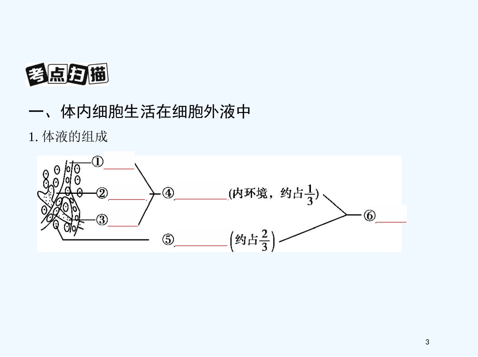 （北京专用）2019版高考生物一轮复习 第23讲 人体内环境的稳态与调节优质课件_第3页