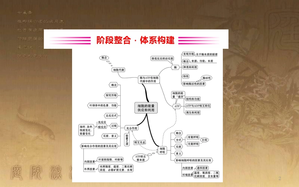 高中生物 第五章 细胞的能量供应和利用阶段整合优质课件 新人教版必修1_第2页