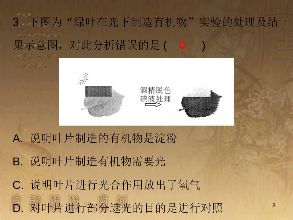 七年级生物上册 第三单元 第五章 第一节 光合作用吸收二氧化碳释放氧气课堂十分钟优质课件 （新版）新人教版_第3页
