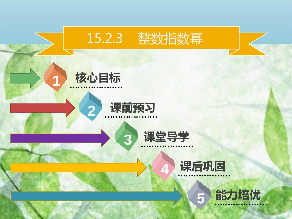 八年级数学上册 第十五章 分式 15.2.3 整数指数幂同步优质课件 （新版）新人教版_第1页