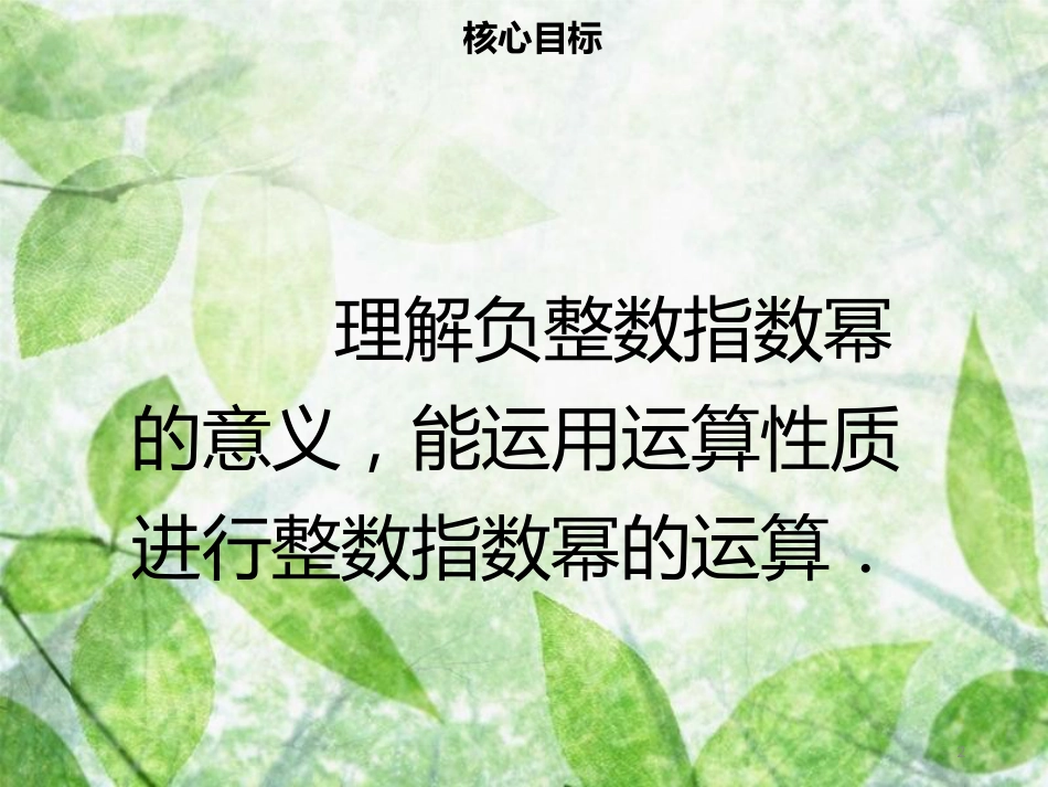 八年级数学上册 第十五章 分式 15.2.3 整数指数幂同步优质课件 （新版）新人教版_第2页