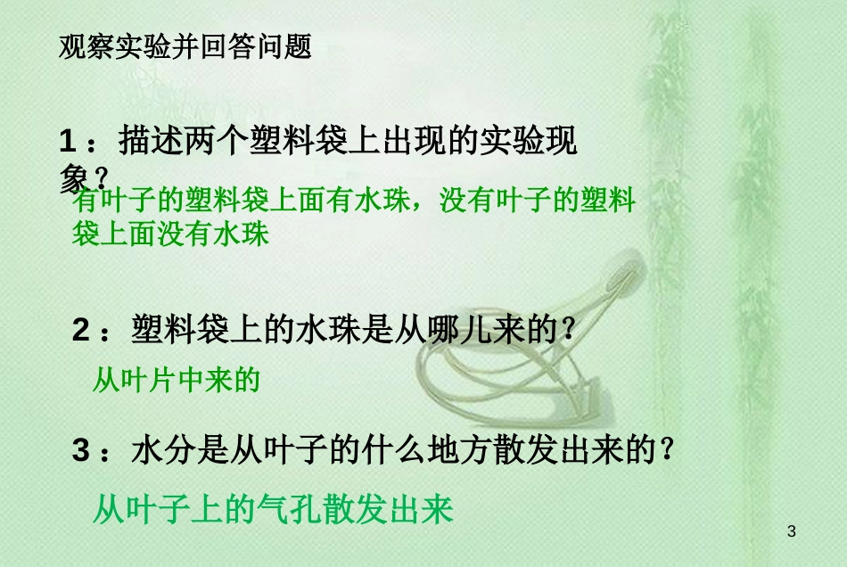 八年级生物上册 第三单元 第四章 第二节蒸腾作用优质课件 （新版）冀教版_第3页