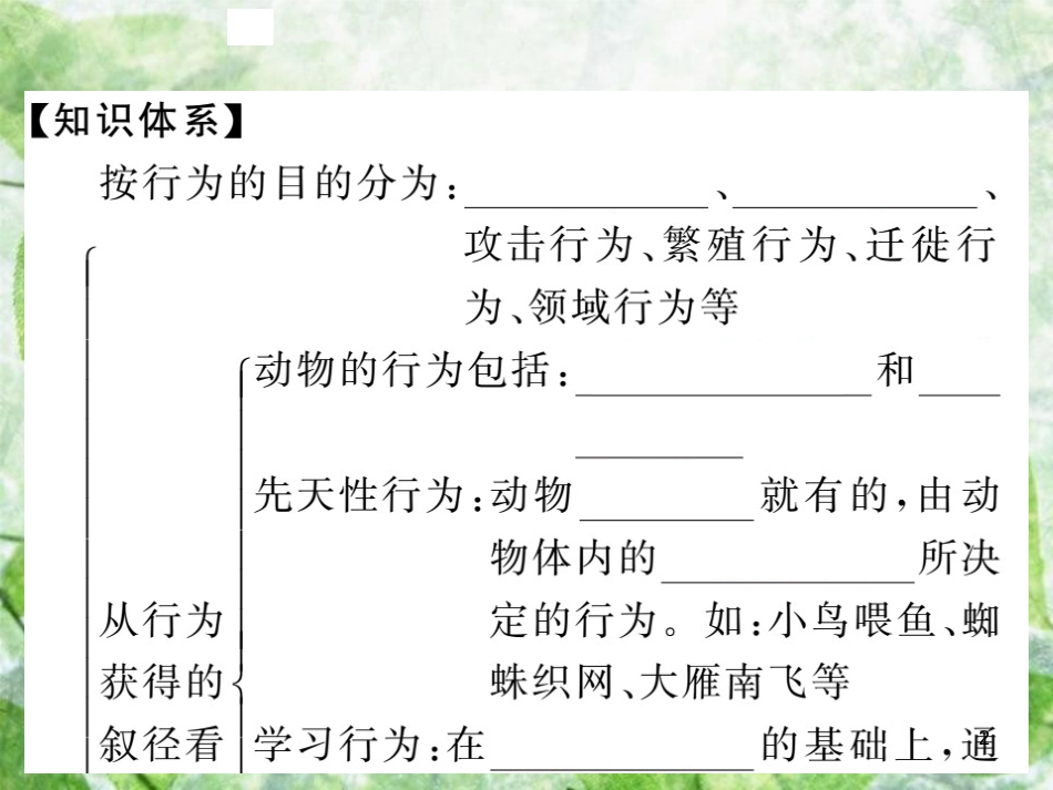 八年级生物上册 第五单元 第二章 第二节 先天性行为和学习行为习题优质课件 （新版）新人教版_第2页