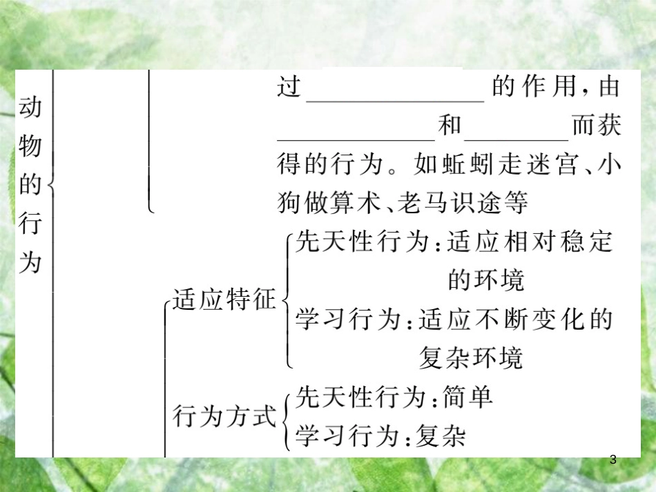 八年级生物上册 第五单元 第二章 第二节 先天性行为和学习行为习题优质课件 （新版）新人教版_第3页