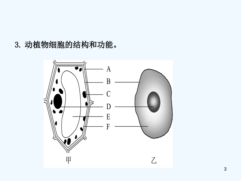 （济宁专版）2019年中考生物 第一单元 第二章复习优质课件_第3页