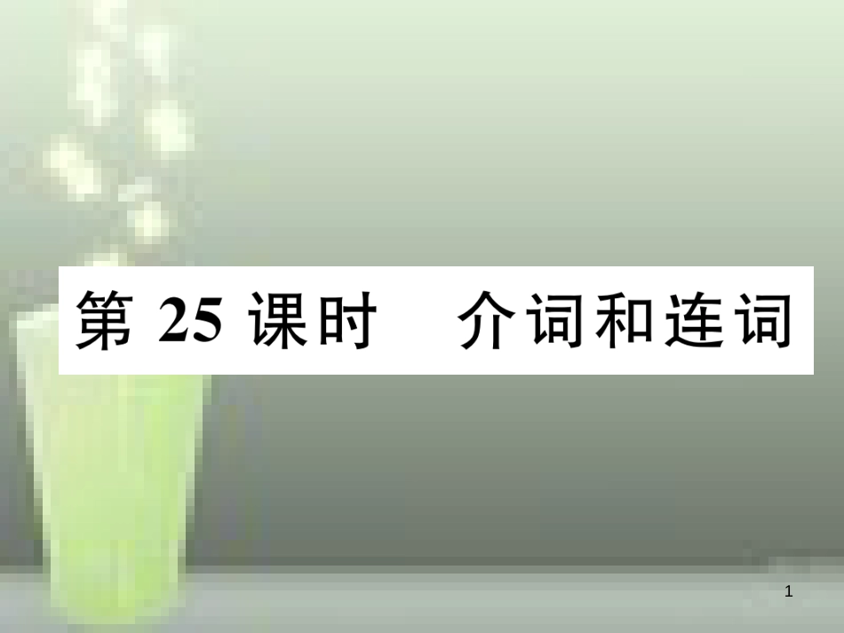 （浙江专版）中考英语特训总复习 第二部分 语法专题突破篇 第25课时 介词和连词（精练）优质课件_第1页