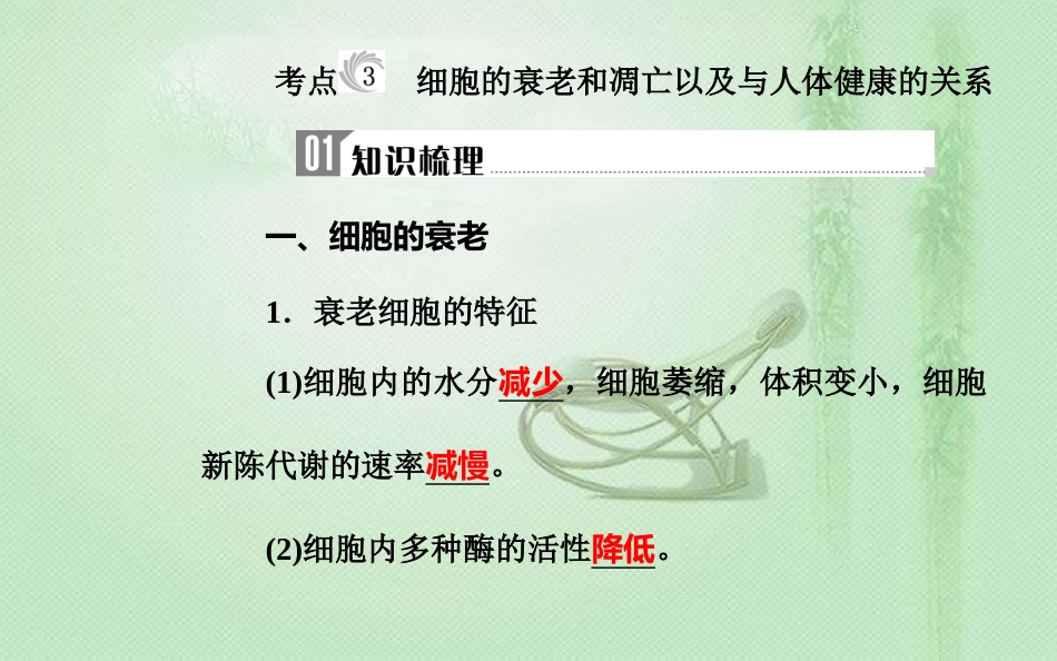 高中生物学业水平复习 专题五 细胞的分化、衰老和凋亡 考点3 细胞的衰老和凋亡以及与人体健康的关系优质课件_第2页