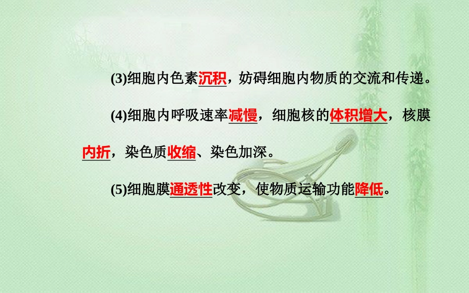 高中生物学业水平复习 专题五 细胞的分化、衰老和凋亡 考点3 细胞的衰老和凋亡以及与人体健康的关系优质课件_第3页