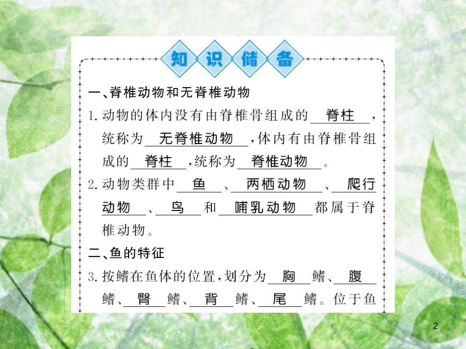 八年级生物上册 第五单元 第1章 第4节 鱼习题优质课件 （新版）新人教版_第2页