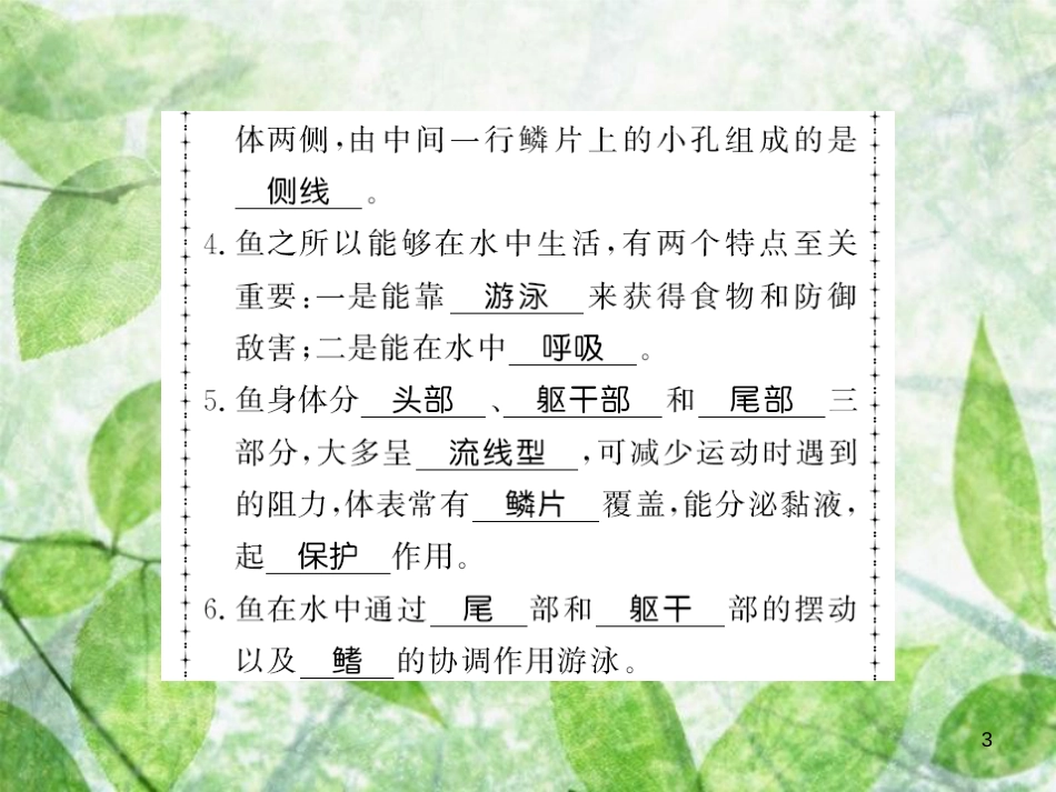 八年级生物上册 第五单元 第1章 第4节 鱼习题优质课件 （新版）新人教版_第3页