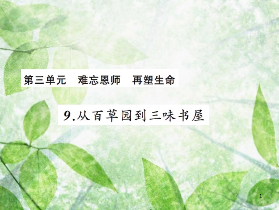 七年级语文上册 第三单元 9从百草园到三味书屋习题优质课件 新人教版_第1页