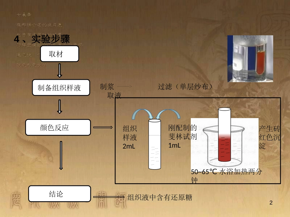 高中生物 专题2.1 细胞中的元素和化合物优质课件 新人教版必修1_第2页