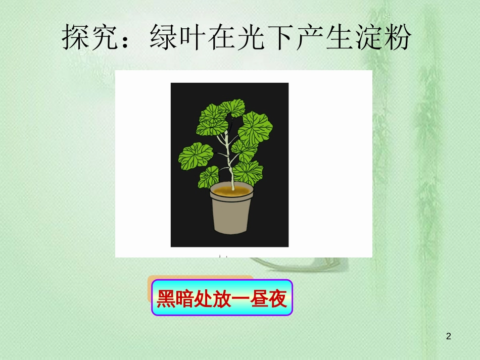 八年级生物上册 第3章 第1节 光合作用的产物优质课件3 （新版）冀教版_第2页
