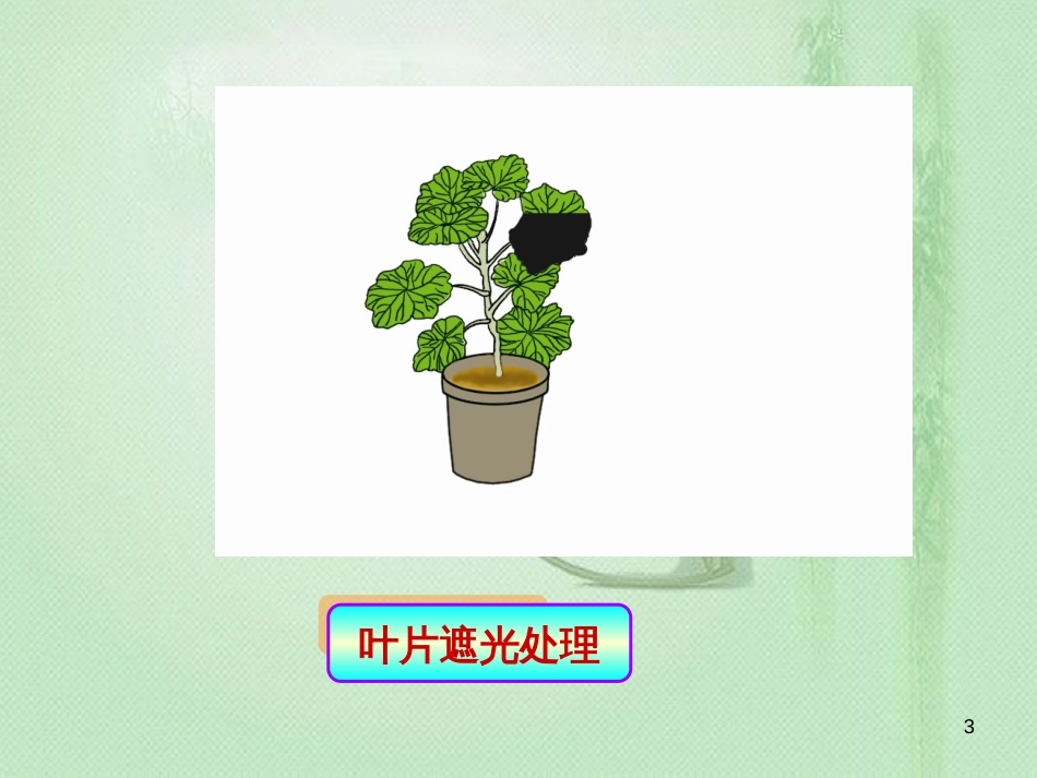 八年级生物上册 第3章 第1节 光合作用的产物优质课件3 （新版）冀教版_第3页