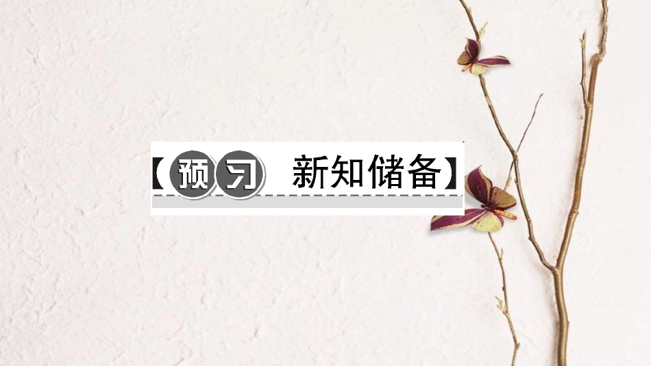 七年级地理下册 7.3印度课件 （新版）新人教版[共54页]_第2页