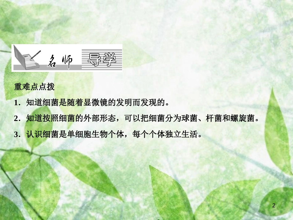 八年级生物上册 第5单元 第4章 第2节 细菌（第1课时 细菌的发现和形态）习题优质课件 （新版）新人教版_第2页