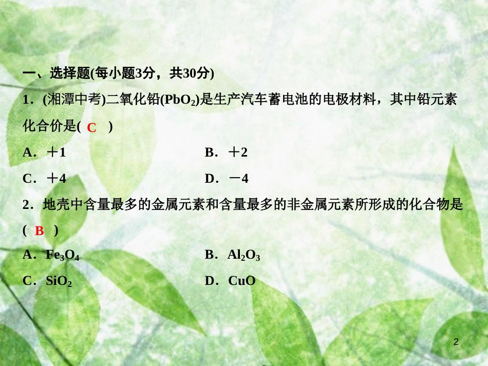 九年级化学上册 双休自测五（第四单元 课题4）作业优质课件 （新版）新人教版_第2页