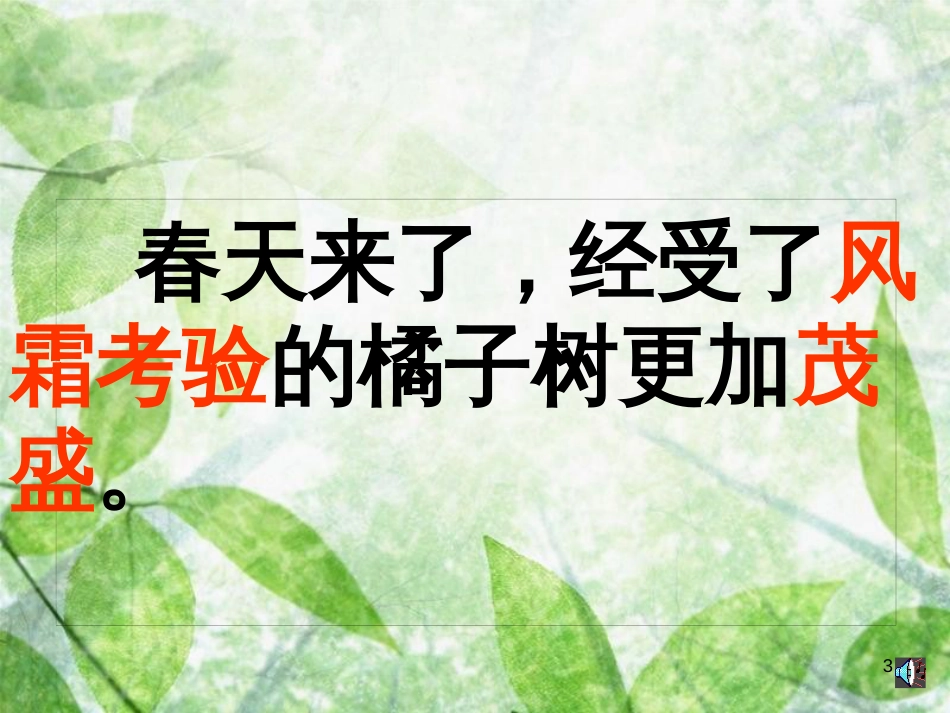 三年级语文上册 第二单元 家乡的红橘课件4 西师大版_第3页