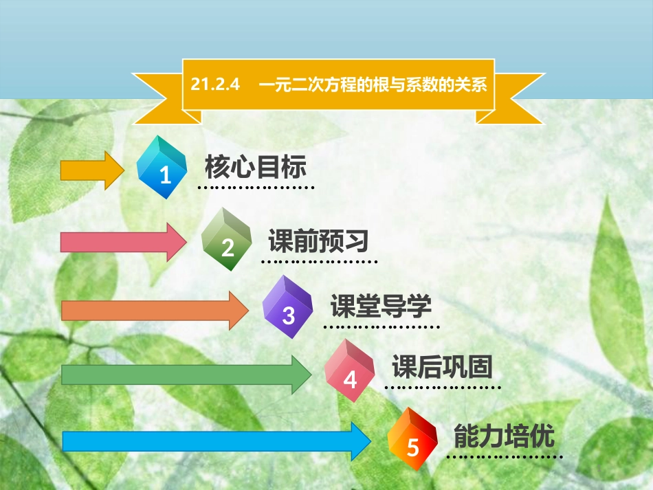 九年级数学上册 第二十一章 一元二次方程 21.2 解一元二次方程 21.2.4 一元二次方程的根与系数的关系导学优质课件 （新版）新人教版_第1页