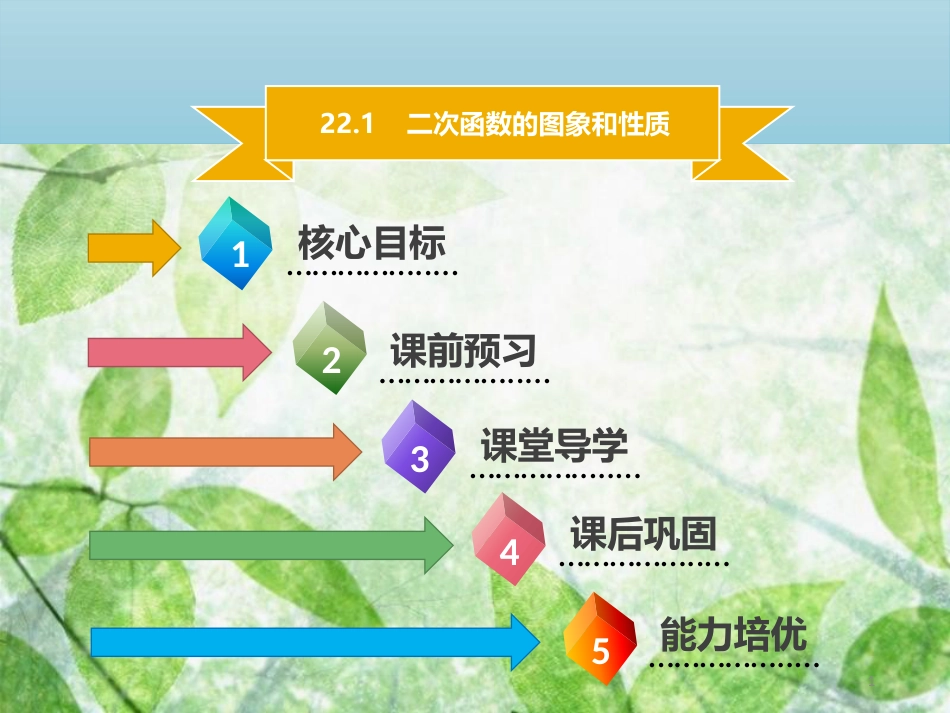 九年级数学上册 第二十二章 二次函数 22.1 二次函数的图象和性质 22.1.1 二次函数导学优质课件 （新版）新人教版_第1页