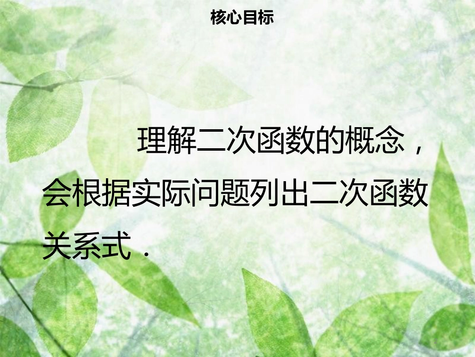 九年级数学上册 第二十二章 二次函数 22.1 二次函数的图象和性质 22.1.1 二次函数导学优质课件 （新版）新人教版_第2页