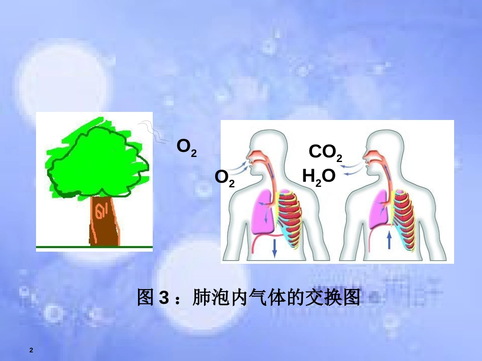 福建省寿宁县高中生物 第五章 ATP的主要来源-细胞呼吸课件 新人教版必修1_第2页