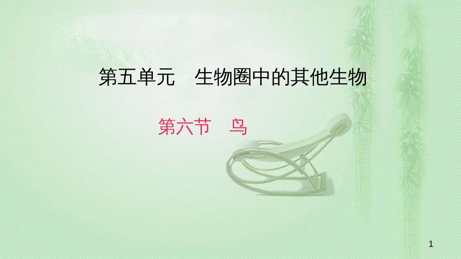 八年级生物上册 第五单元 第一章 第六节 鸟优质课件 （新版）新人教版_第1页