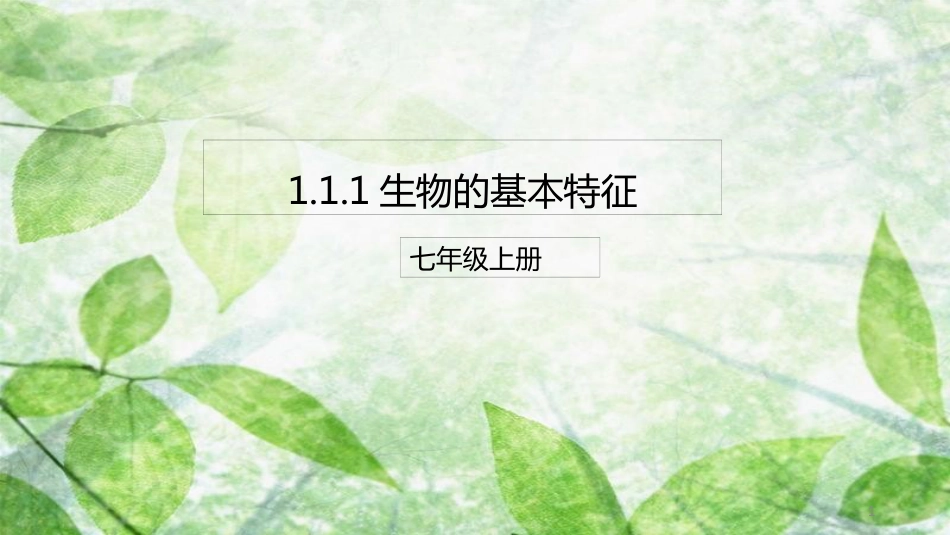 七年级生物上册 1.1.1《生物的基本特征》优质课件 （新版）济南版_第1页