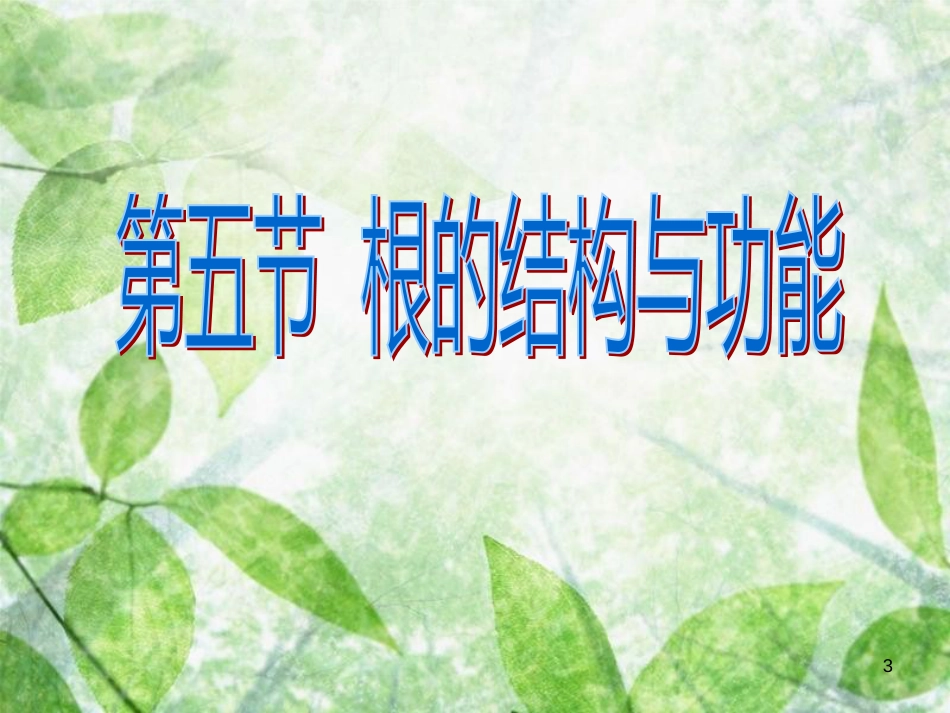 八年级生物上册 4.1.5《根的结构与功能》优质课件2 （新版）济南版_第3页