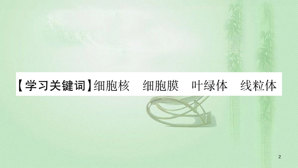 七年级生物上册 第二单元 第3章 第2节 细胞是生命活动的单位习题优质课件 （新版）北师大版 (2)_第2页