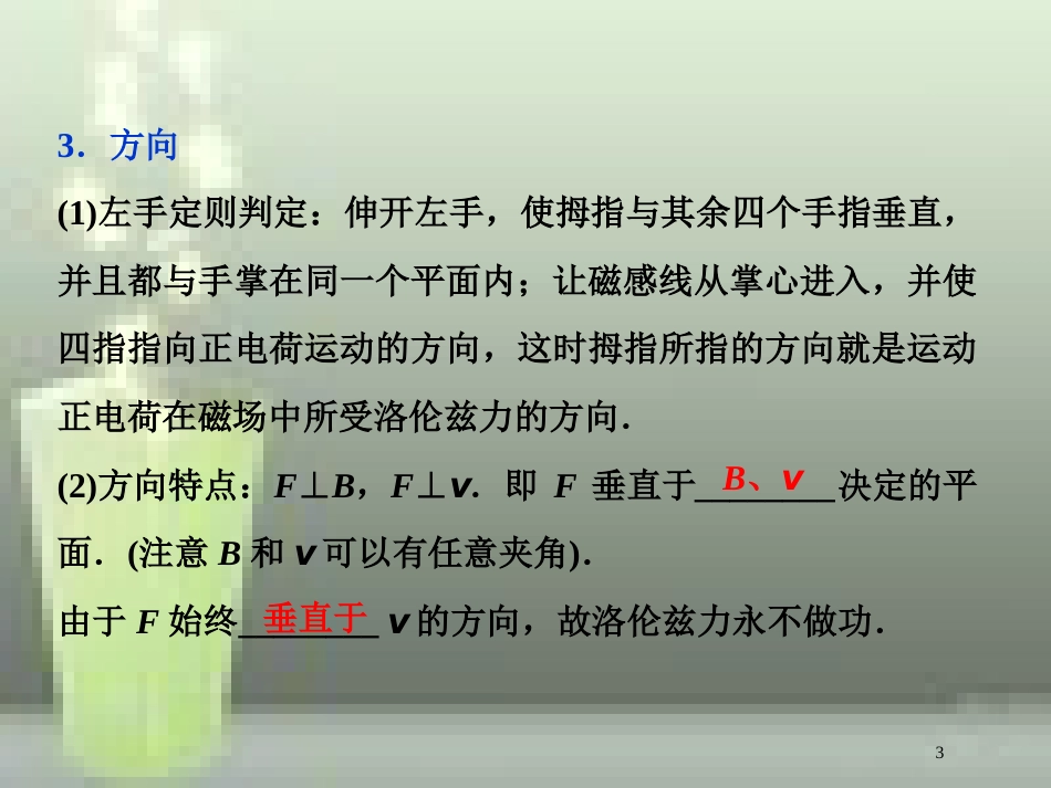 高考物理一轮复习 第8章 磁场 2 第二节 磁场对运动电荷的作用优质课件 新人教版_第3页