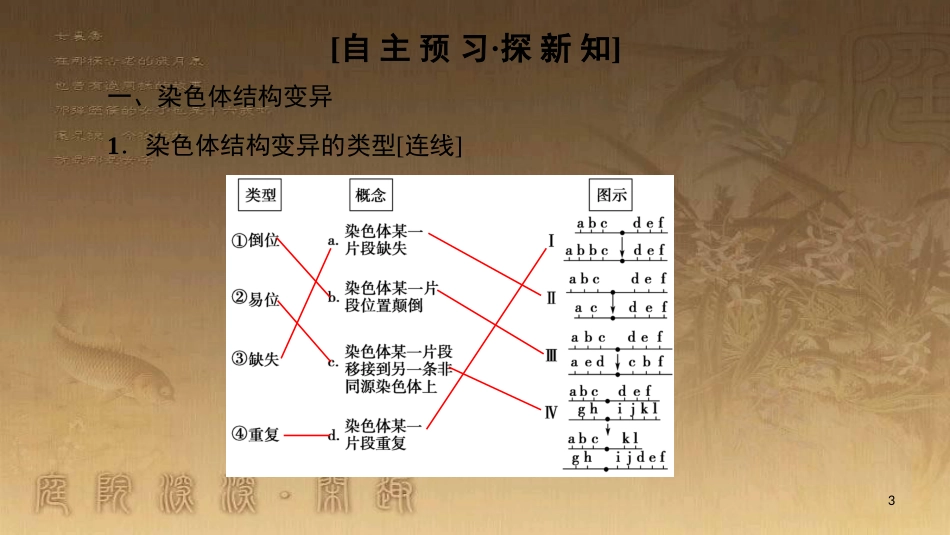 高中生物 第五章 基因突变及其他变异 第2节 染色体变异优质课件 新人教版必修2_第3页