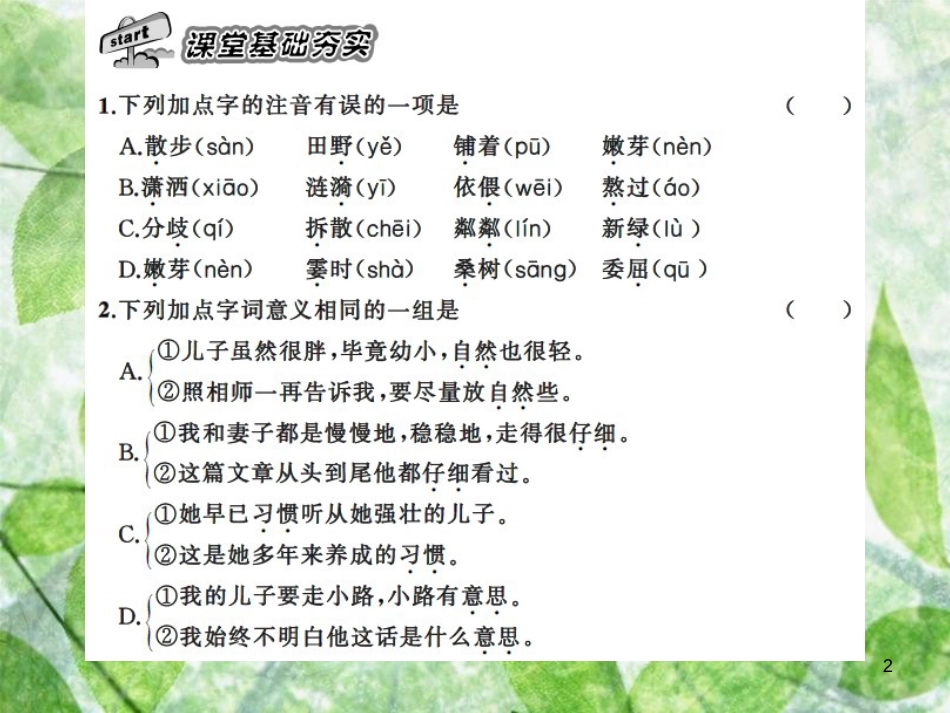 七年级语文上册 第二单元 6散步习题优质课件 新人教版_第2页