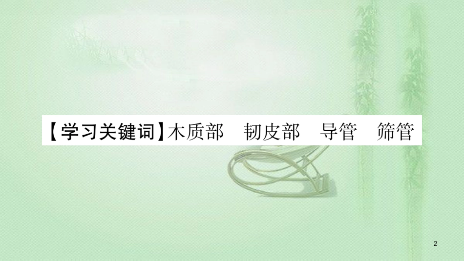 七年级生物上册 第三单元 第5章 第5节 运输作用习题优质课件 （新版）北师大版 (2)_第2页