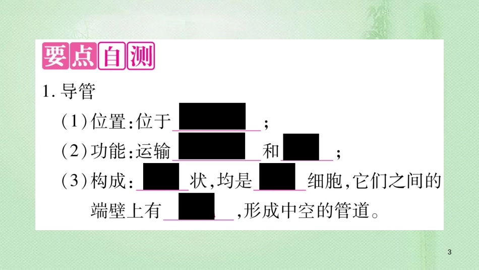 七年级生物上册 第三单元 第5章 第5节 运输作用习题优质课件 （新版）北师大版 (2)_第3页