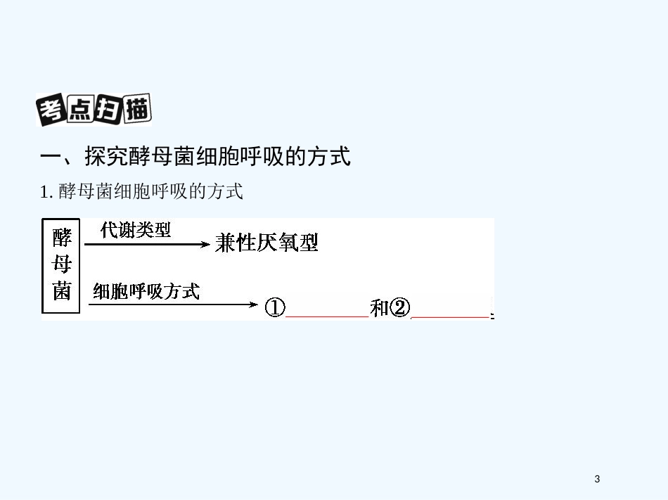 （北京专用）2019版高考生物一轮复习 第7讲 细胞呼吸优质课件_第3页