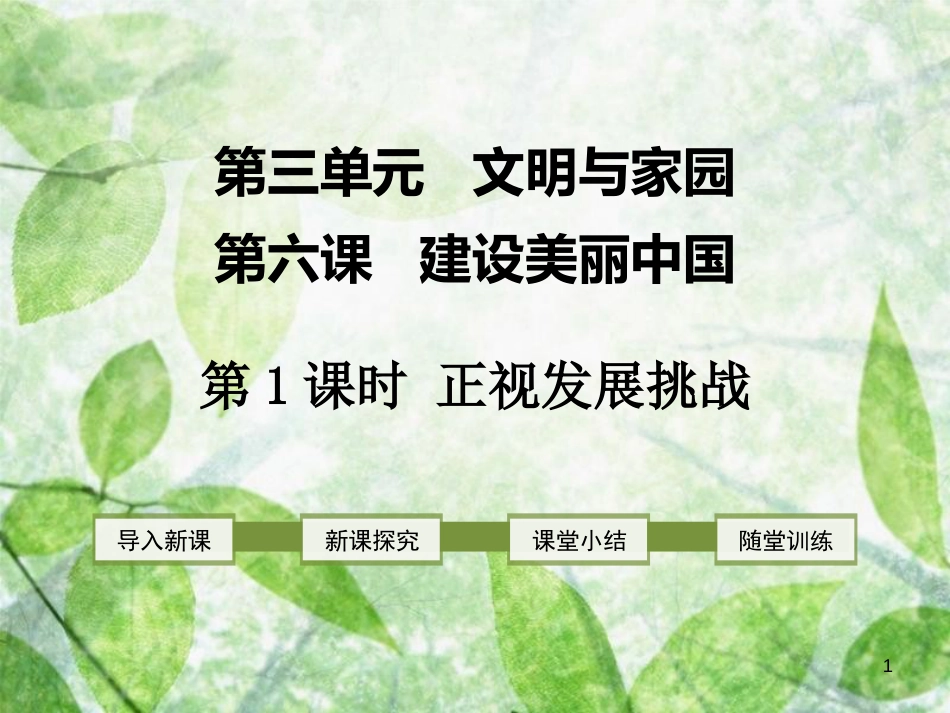 2018年九年级道德与法治上册 第三单元 文明与家园 第六课 建设美丽中国 第1框 正视发展挑战优质课件 新人教版_第1页