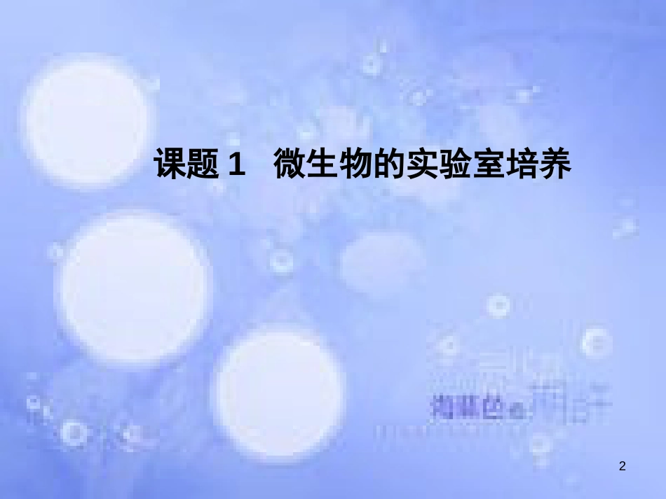 高中生物 专题二 微生物的培养与应用课件 新人教版选修1_第2页