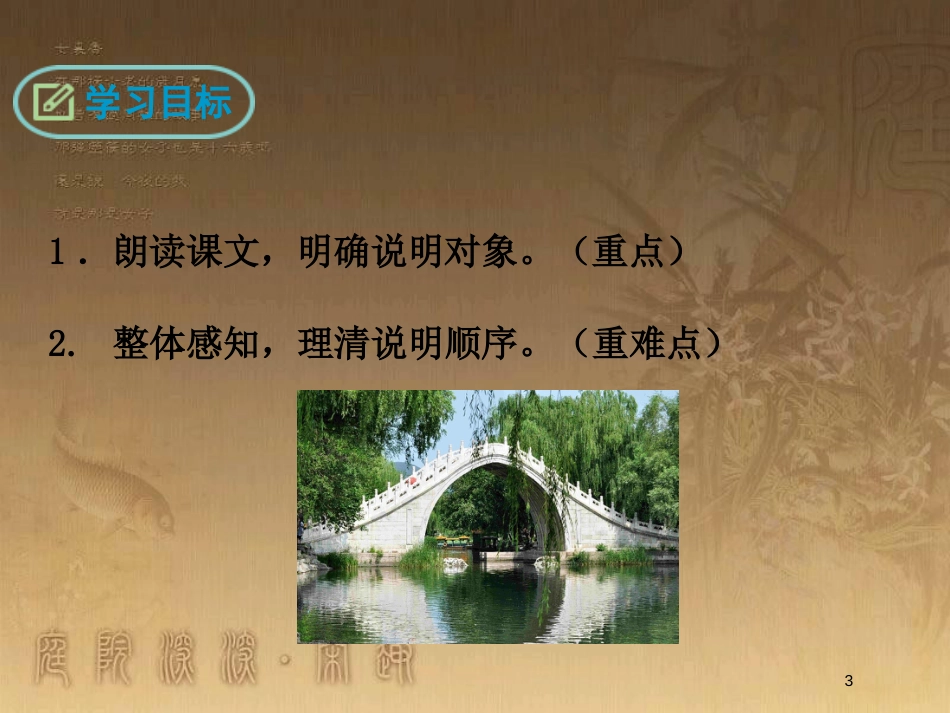 八年级语文上册 第五单元 17 中国石拱桥优质课件 新人教版_第3页