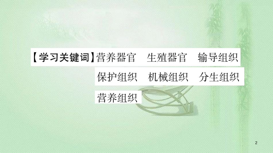 七年级生物上册 第2单元 第2章 第3节 植物体的结构层次习题优质课件 （新版）新人教版_第2页