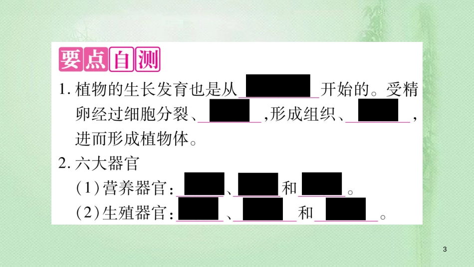 七年级生物上册 第2单元 第2章 第3节 植物体的结构层次习题优质课件 （新版）新人教版_第3页