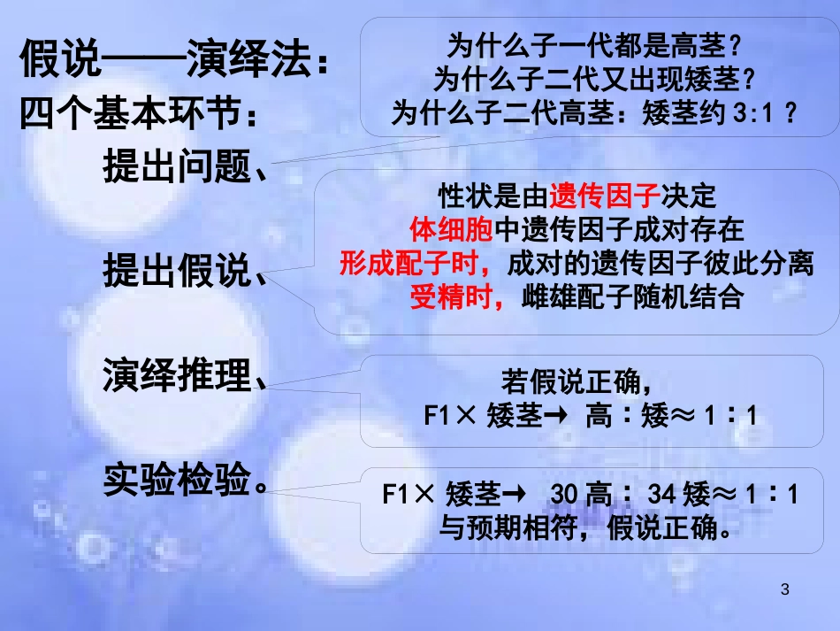 福建省永安市高中生物 第一章 遗传因子的发现 1.1 孟德尔的豌豆杂交实验（一）课件 新人教版必修2_第3页