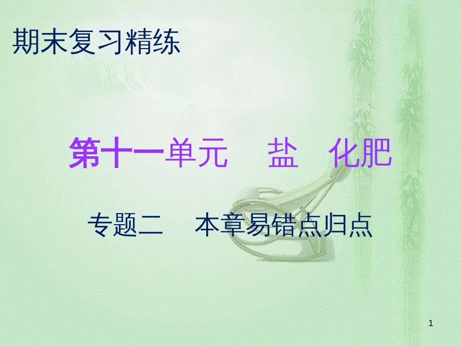 九年级化学下册 期末复习精炼 第十一单元 盐 化肥 专题二 本章易错点归点优质课件 （新版）新人教版_第1页