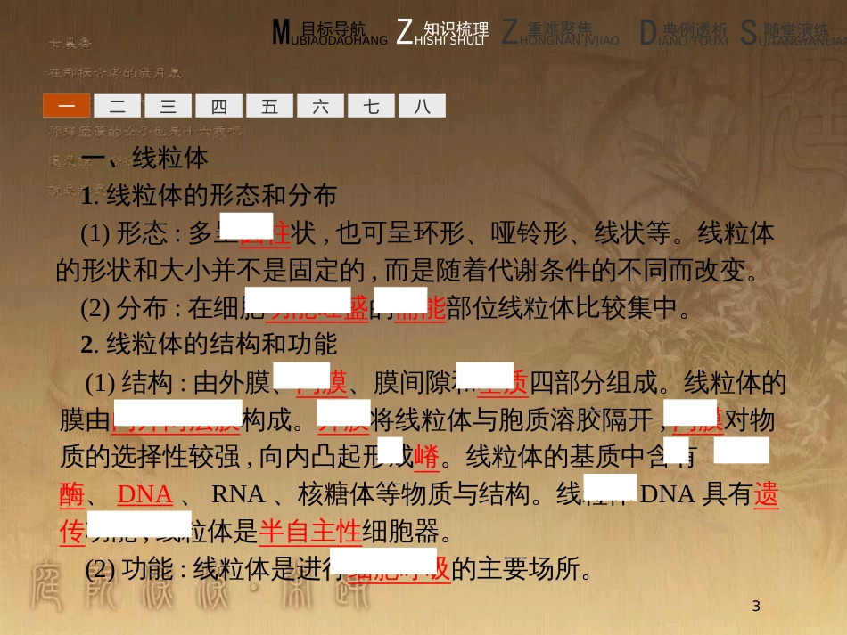 高中生物 第3章 细胞的结构 3.2 细胞器与胞质溶胶优质课件 北师大版必修1_第3页