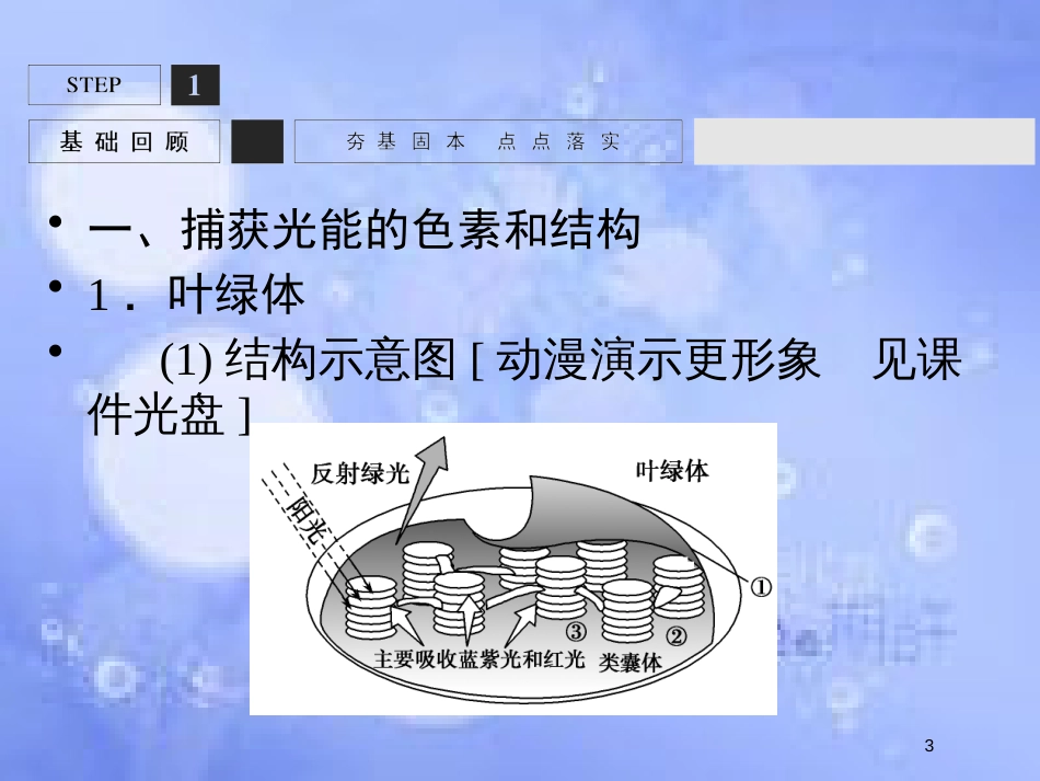 高考生物一轮复习 第3单元 光合作用与细胞呼吸10课件 苏教版必修1_第3页