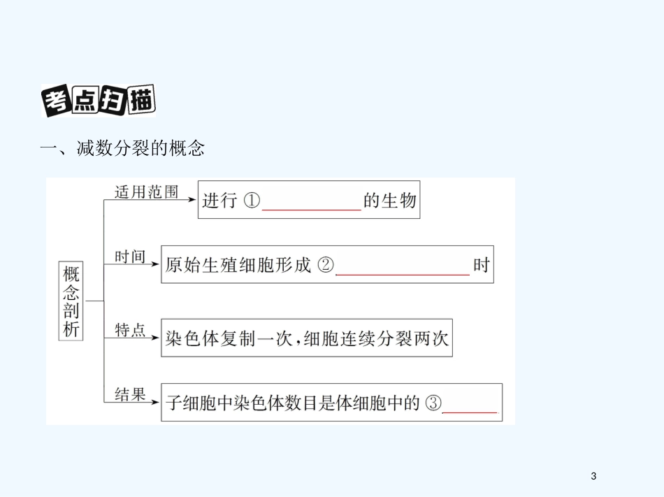 （北京专用）2019版高考生物一轮复习 第11讲 遗传的细胞基础优质课件_第3页