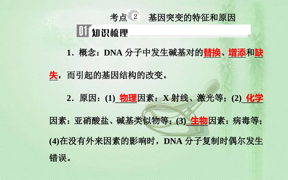 高中生物学业水平复习 专题九 生物的变异 考点2 基因突变的特征和原因优质课件_第1页