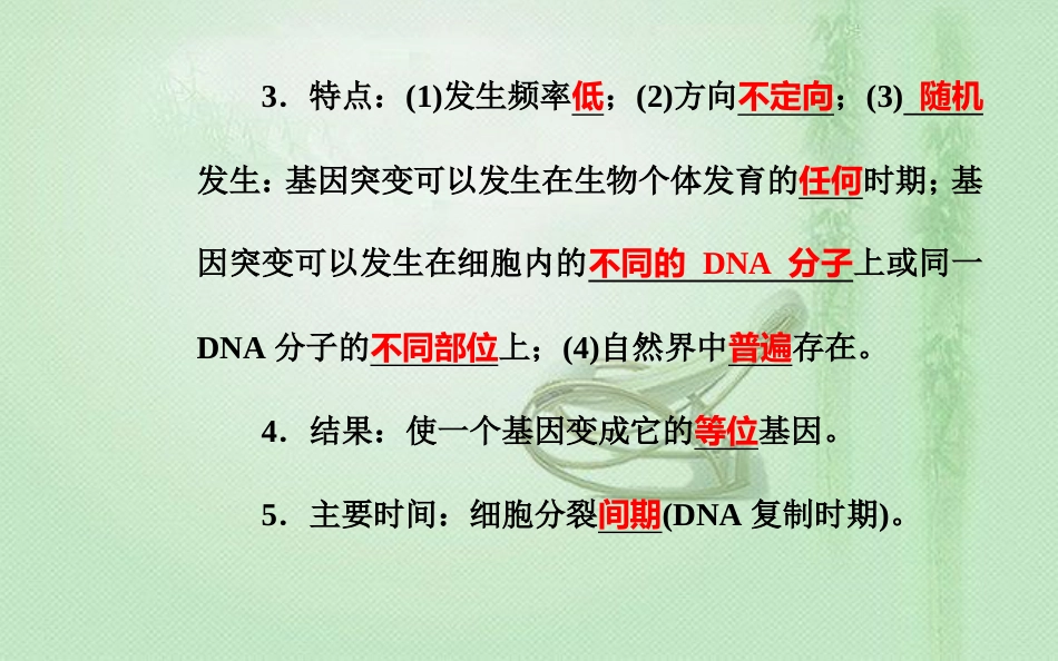 高中生物学业水平复习 专题九 生物的变异 考点2 基因突变的特征和原因优质课件_第2页