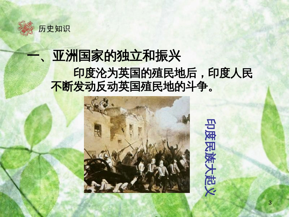 九年级历史下册 第6单元 亚非拉国家的独立和振兴 12 亚非拉的奋起优质课件 新人教版_第3页